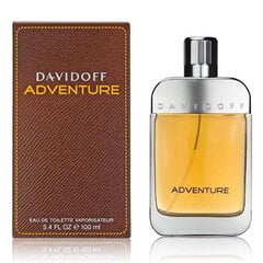 Tualetinis vanduo Davidoff Adventure EDT vyrams 100 ml kaina ir informacija | Kvepalai vyrams | pigu.lt