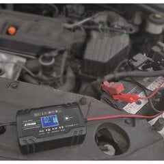 Automobilio akumuliatoriaus įkroviklis, 12/24V kaina ir informacija | Automobilių 12V el. priedai | pigu.lt