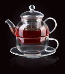 Заварочный чайник с чашкой цена и информация | Стаканы, фужеры, кувшины | pigu.lt