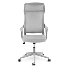 Офисное кресло, Sofotel Labi, светло-серый цена и информация | Офисные кресла | pigu.lt