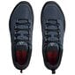 Sportiniai batai vyrams Adidas Terrex IF2583, mėlyni цена и информация | Kedai vyrams | pigu.lt