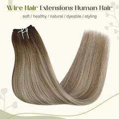 Prisegami plaukai moterims Fshine, 40 cm, 80 g kaina ir informacija | Plaukų aksesuarai | pigu.lt