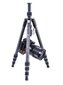 Vanguard Vesta TB204CB kaina ir informacija | Fotoaparato stovai | pigu.lt