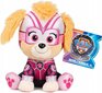 Pliušinis žaislas Spin Master Paw Patrol Skye, 15cm kaina ir informacija | Minkšti (pliušiniai) žaislai | pigu.lt