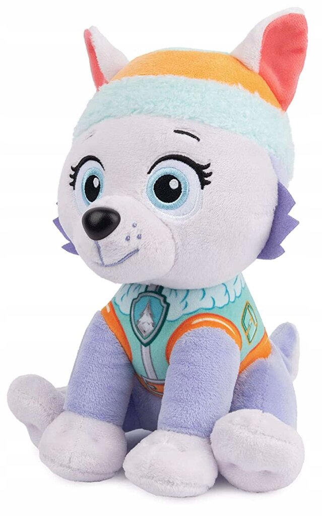 Pliušinis žaislas Spin Master Paw Patrol Everest, 23cm цена и информация | Minkšti (pliušiniai) žaislai | pigu.lt