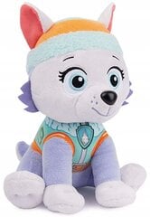 Pliušinis žaislas Spin Master Paw Patrol Everest, 23cm kaina ir informacija | Minkšti (pliušiniai) žaislai | pigu.lt