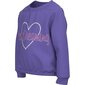 Name It džemperis mergaitėms 13219948 284692, violetinis kaina ir informacija | Megztiniai, bluzonai, švarkai mergaitėms | pigu.lt