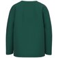 Name It džemperis berniukams 13220044 284696, žalias kaina ir informacija | Megztiniai, bluzonai, švarkai berniukams | pigu.lt