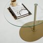 Kavos staliukas Asir, 90x40x60 cm, skaidrus/auksinis kaina ir informacija | Kavos staliukai | pigu.lt