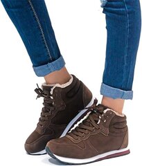 Женские зимние ботинки на меху, коричневые цена и информация | Женские сапоги | pigu.lt