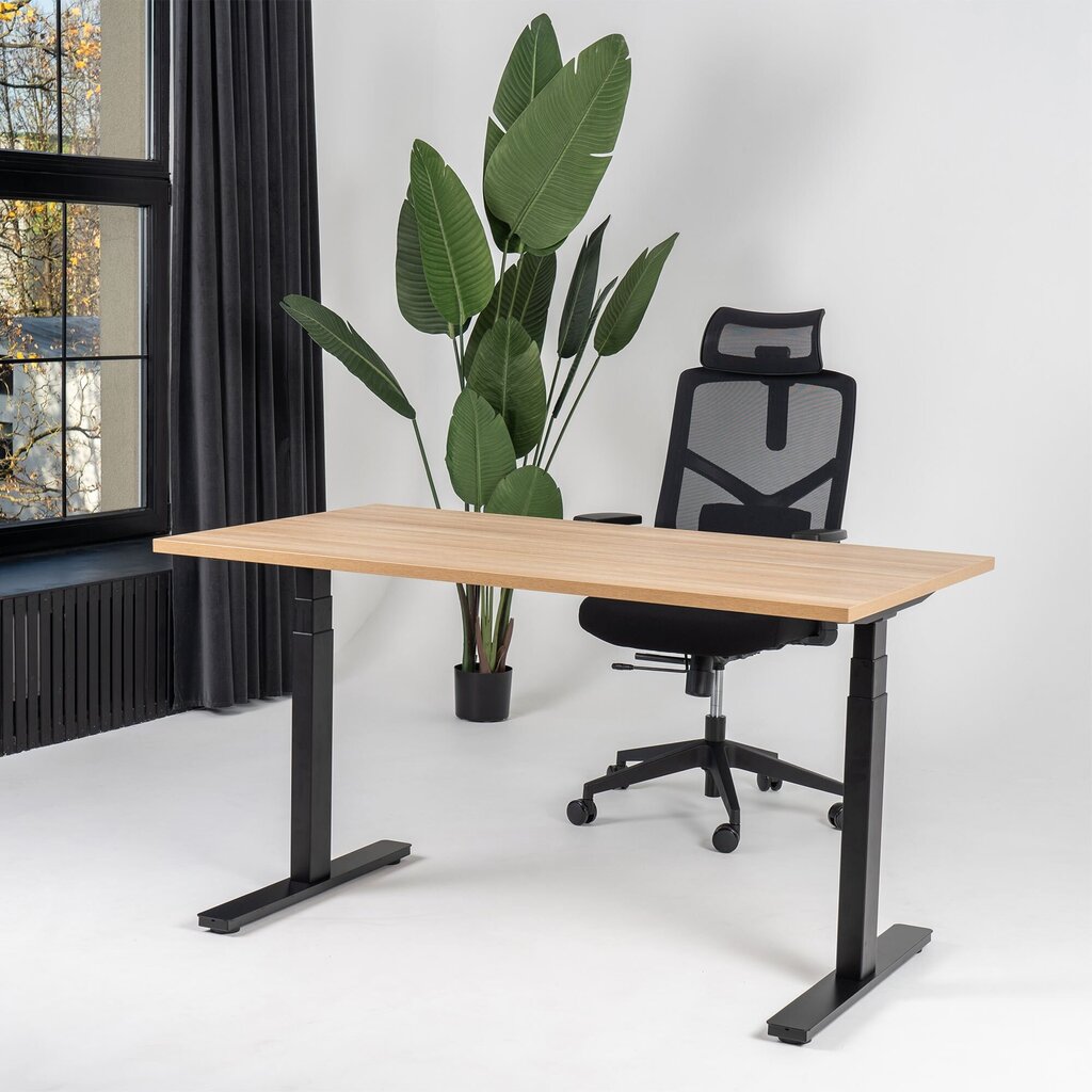 Reguliuojamas stalas Ergostock Prestige line,120x65, rudas kaina ir informacija | Kompiuteriniai, rašomieji stalai | pigu.lt