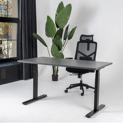 Регулируемый стол Ergostock Prestige line 120x80 Anthracite цена и информация | Компьютерные, письменные столы | pigu.lt