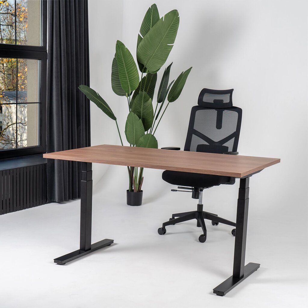 Reguliuojamas stalas Ergostock Unico line,120x65, rudas kaina ir informacija | Kompiuteriniai, rašomieji stalai | pigu.lt
