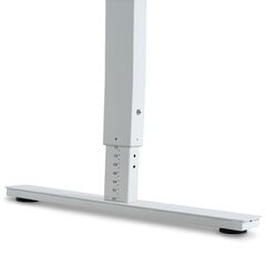 Reguliuojamas stalas Ergostock Forza line, 120x65, baltas kaina ir informacija | Kompiuteriniai, rašomieji stalai | pigu.lt