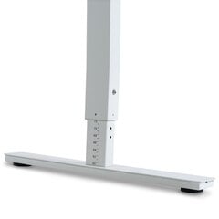 Регулируемый стол Ergostock Forza line 160x80 White цена и информация | Компьютерные, письменные столы | pigu.lt