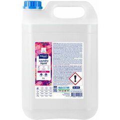 Mayeri skalbimo gelis All-Care Color, 5 L kaina ir informacija | Skalbimo priemonės | pigu.lt