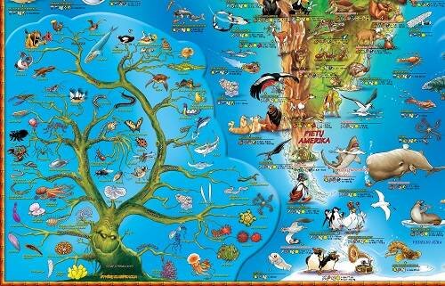 Žemėlapis Pasaulio gyvūnai, 97×137 cm kaina ir informacija | Žemėlapiai | pigu.lt