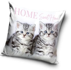 Dekoratyvinė pagalvė The Cat kaina ir informacija | Dekoratyvinės pagalvėlės ir užvalkalai | pigu.lt