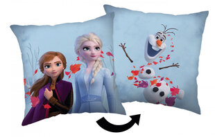 Декоративная подушка Disney Frozen Leaves Cushion, Decorative cushion 40*40 cm цена и информация | Декоративные подушки и наволочки | pigu.lt