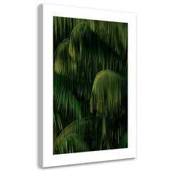Reprodukcija Palmės lapai kaina ir informacija | Reprodukcijos, paveikslai | pigu.lt