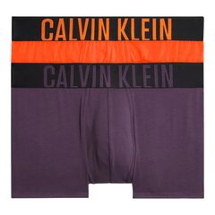 Trumpikės vyrams Calvin Klein 84791, 2 vnt. kaina ir informacija | Trumpikės | pigu.lt