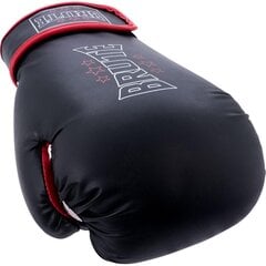 перчатки боксерские красные 10 унций цена и информация | Боевые искусства | pigu.lt