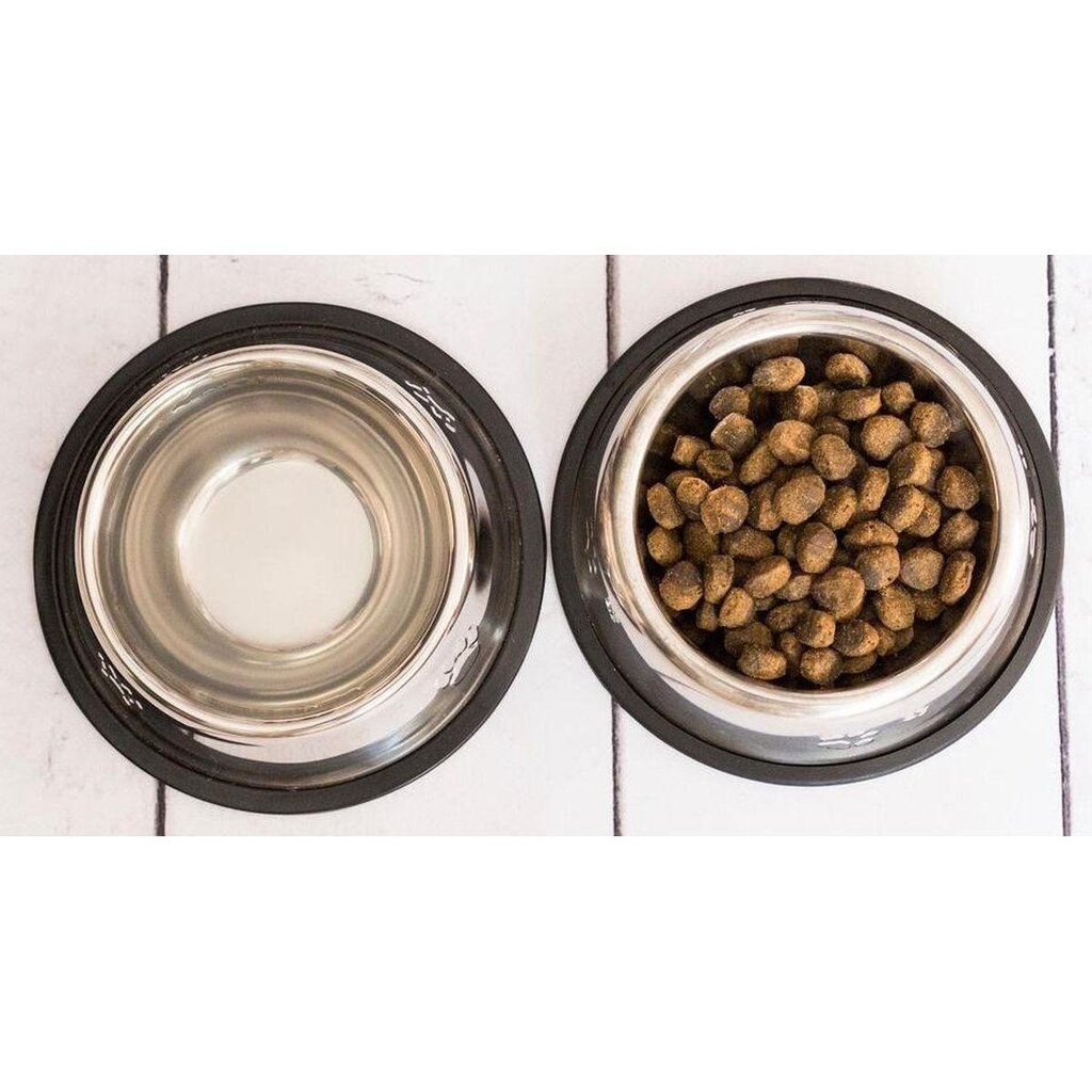 Šunų ir kačių dubenėlis iš nerūdijančio plieno Bonya Smile, 20cm kaina ir informacija | Dubenėliai, dėžės maistui | pigu.lt