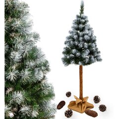 елка на стволе 180 см алмазная сосна цена и информация | Искусственные елки | pigu.lt