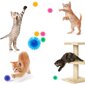 Katės žaislai Cats Collection, 4vnt kaina ir informacija | Žaislai katėms | pigu.lt