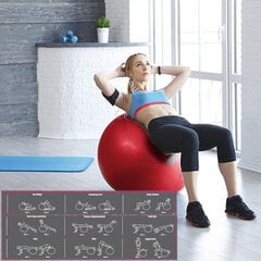 Medi Sleep: гимнастический мяч с насосом 65 см и уникальный комплекс упражнений цена и информация | Гимнастические мячи | pigu.lt