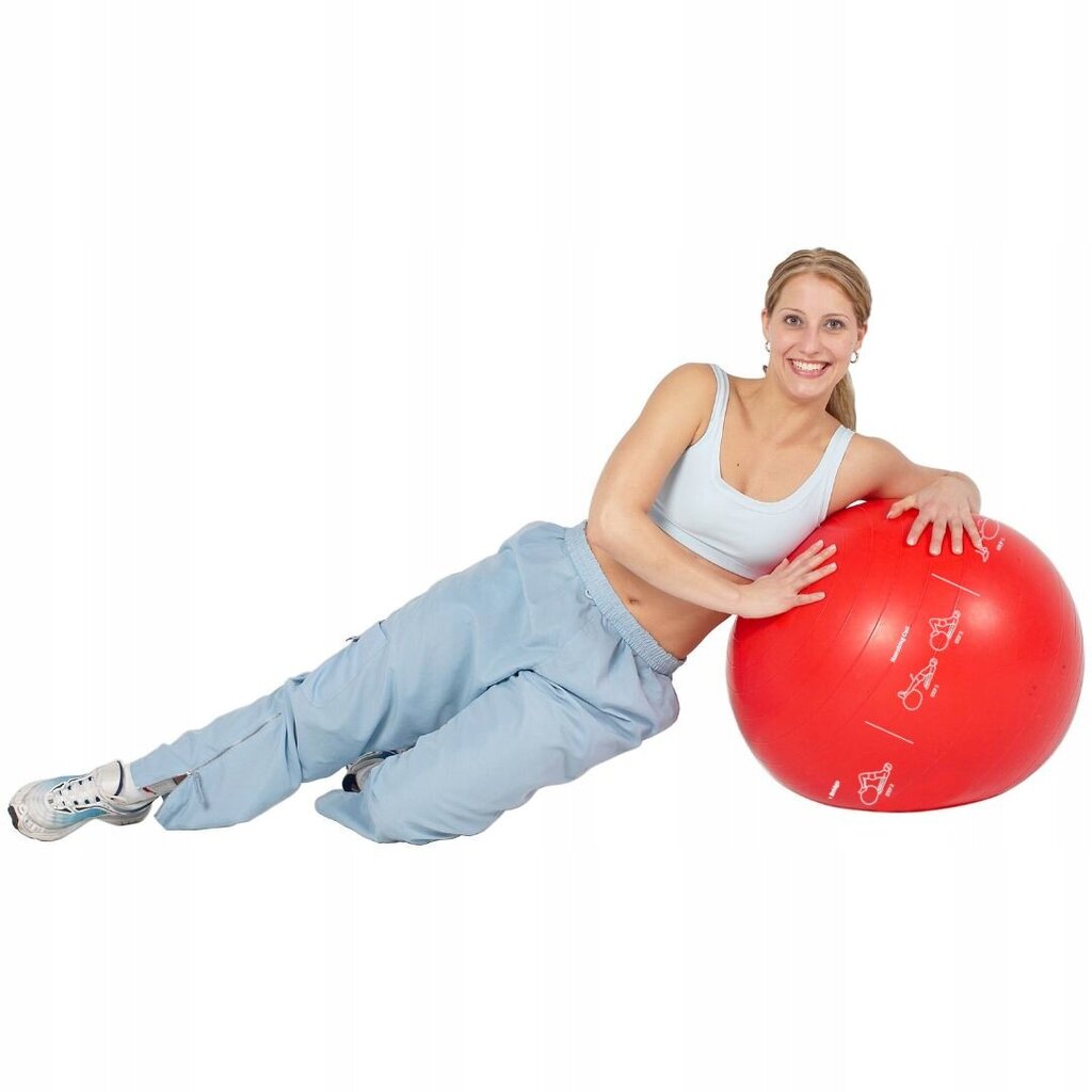 Medi Sleep: 65 cm gimnastikos kamuolys su pompa ir unikaliu pratimų rinkiniu kaina ir informacija | Gimnastikos kamuoliai | pigu.lt