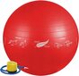 Medi Sleep: 65 cm gimnastikos kamuolys su pompa ir unikaliu pratimų rinkiniu kaina ir informacija | Gimnastikos kamuoliai | pigu.lt