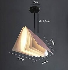 Потолочный светильник цена и информация | Подвесной светильник | pigu.lt