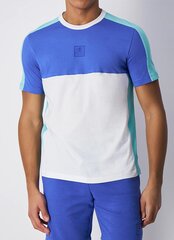 Мужская футболка Champion, сине-мятно-зеленый цвет цена и информация | Футболка мужская | pigu.lt