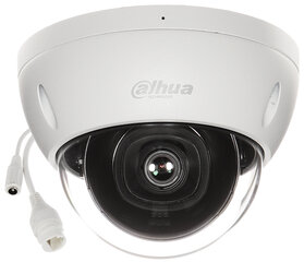 Stebėjimo kamera Dahua RPS19245 kaina ir informacija | Stebėjimo kameros | pigu.lt