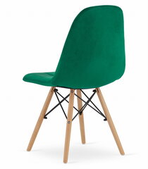 Kėdė, žalia kaina ir informacija | Virtuvės ir valgomojo kėdės | pigu.lt