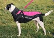 Paltas šunims Taglory Dog, rožinis/juodas kaina ir informacija | Drabužiai šunims | pigu.lt