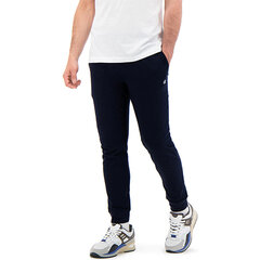 Champion длинные спортивные мужские штаны, черный цена и информация | Мужские брюки FINIS | pigu.lt