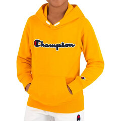 Champion džemperis berniukams 305249-YS022, geltonas kaina ir informacija | Megztiniai, bluzonai, švarkai berniukams | pigu.lt