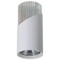 Milagro lubinis LED šviestuvas kaina ir informacija | Lubiniai šviestuvai | pigu.lt