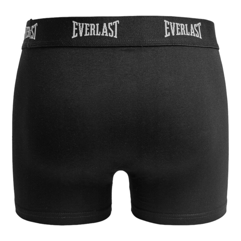 Trumpikės vyrams Everlast 84844, juodos цена и информация | Trumpikės | pigu.lt