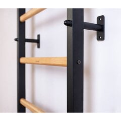 деревянно-металлические гимнастические лестницы цена и информация | Шведские стенки | pigu.lt