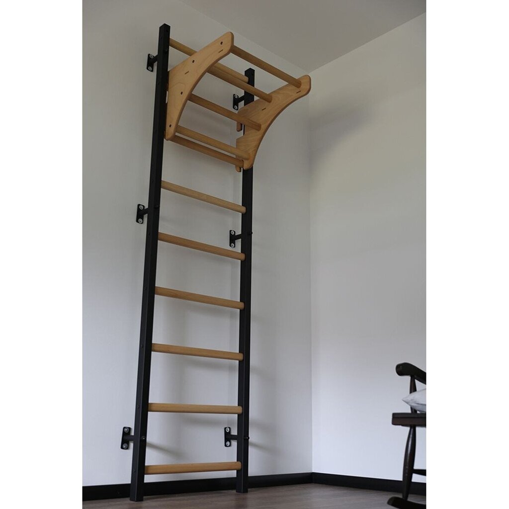 Gimnastikos kopėčios BenchK 310B, 67x2,40m, rudos kaina ir informacija | Gimnastikos sienelės | pigu.lt