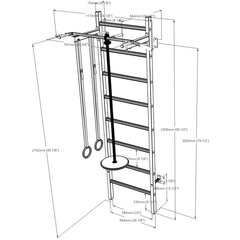 деревянно-металлические гимнастические лестницы цена и информация | Шведские стенки | pigu.lt