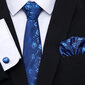 Vyriškas kaklaraištis mėlynas kaina ir informacija | Kaklaraiščiai, peteliškės | pigu.lt