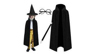 Костюм мага/волшебника с аксессуарами цена и информация | Карнавальные костюмы | pigu.lt