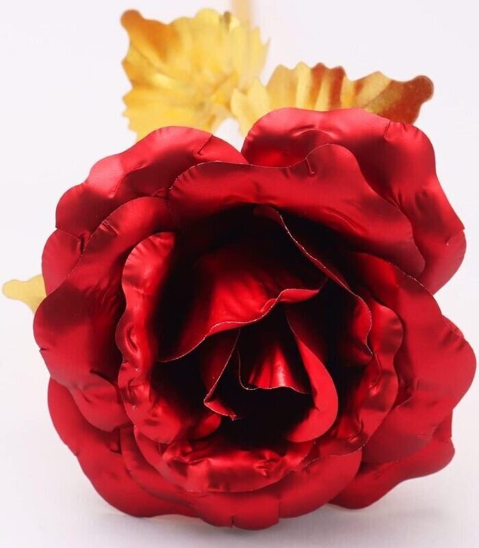 Stabilizuota rožė dėžutėje Gordon Raudona kaina ir informacija | Miegančios rožės, stabilizuoti augalai | pigu.lt