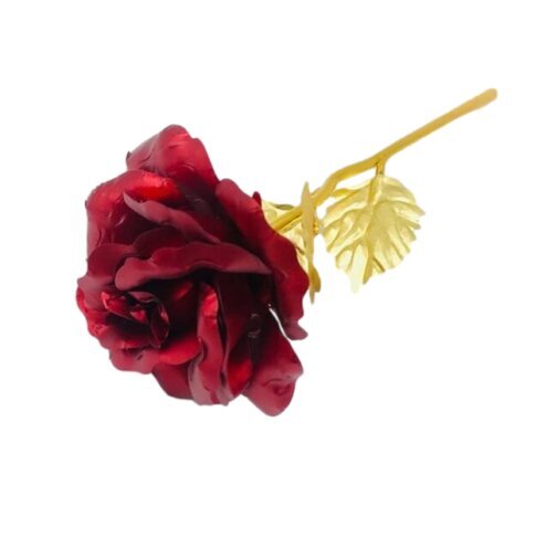 Stabilizuota rožė dėžutėje Gordon Raudona kaina ir informacija | Miegančios rožės, stabilizuoti augalai | pigu.lt