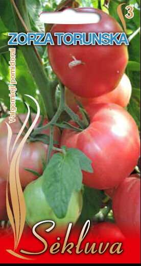 Valgomieji pomidorai Zorza Torunska Sėkluva цена и информация | Daržovių, uogų sėklos | pigu.lt