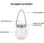 Lauko LED šviestuvas Garden Solar Lantern/ Hanging Solar, L dydis, baltas kaina ir informacija | Lauko šviestuvai | pigu.lt